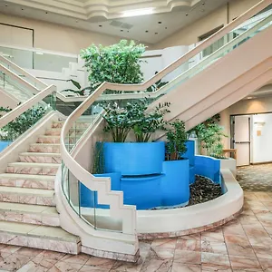 Hotel Fortune &